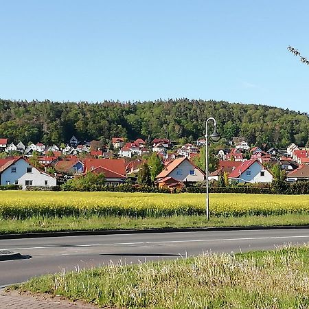 Ferienwohnung 40Qm Gernrode Gernrode  Exteriör bild